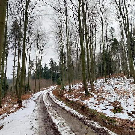 公寓 Chocco Ryglice