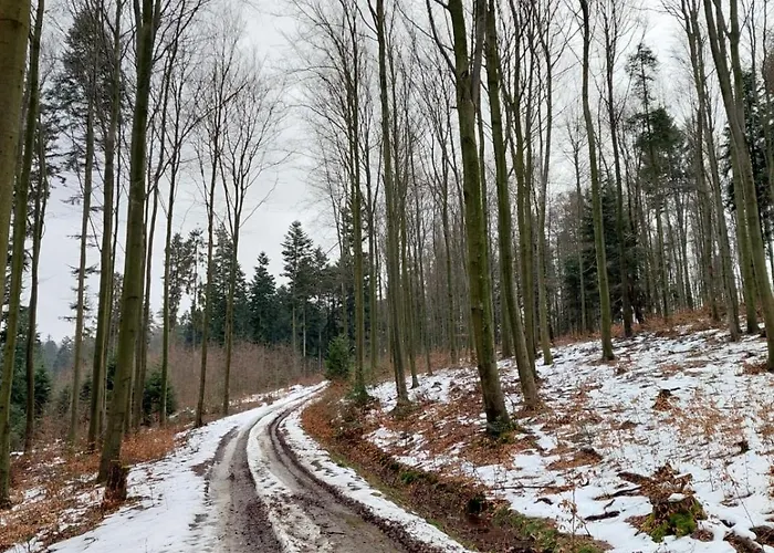 アパート Chocco Ryglice